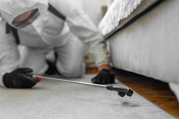Professional Pest Control technician working in Mobile County County, AL